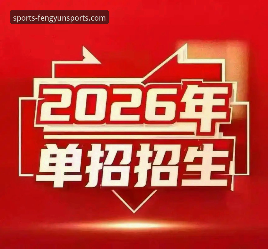 风云体育官方登录入口与第三方渠道对比：哪个是通往2026新版平台的安全捷径？